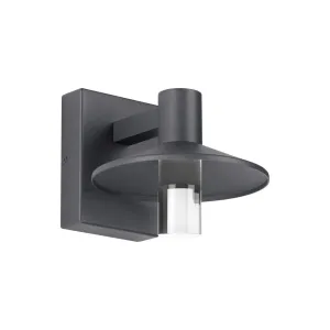 Ash 8 In. LED Lo-Output Outdoor Wall Sconce 515 Lumens 2700K Gray Finish Clear Cylinder