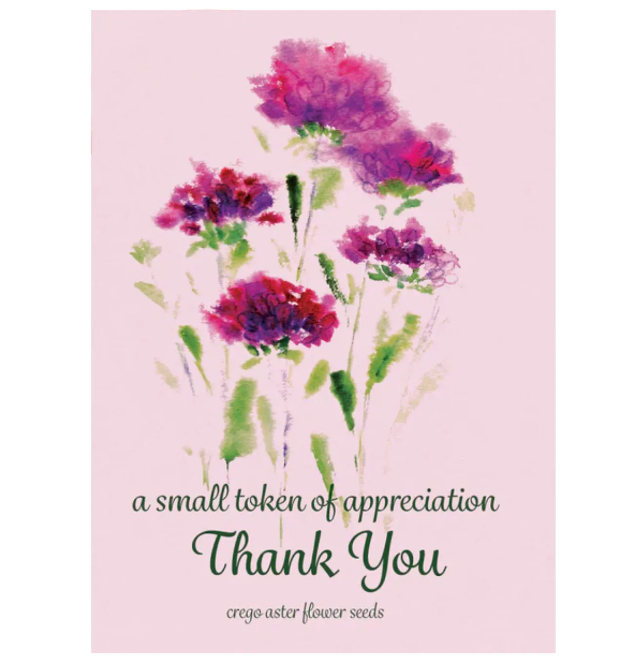 Bentley Seed Company – A Small Token – Thank You - Aster Seed Packet