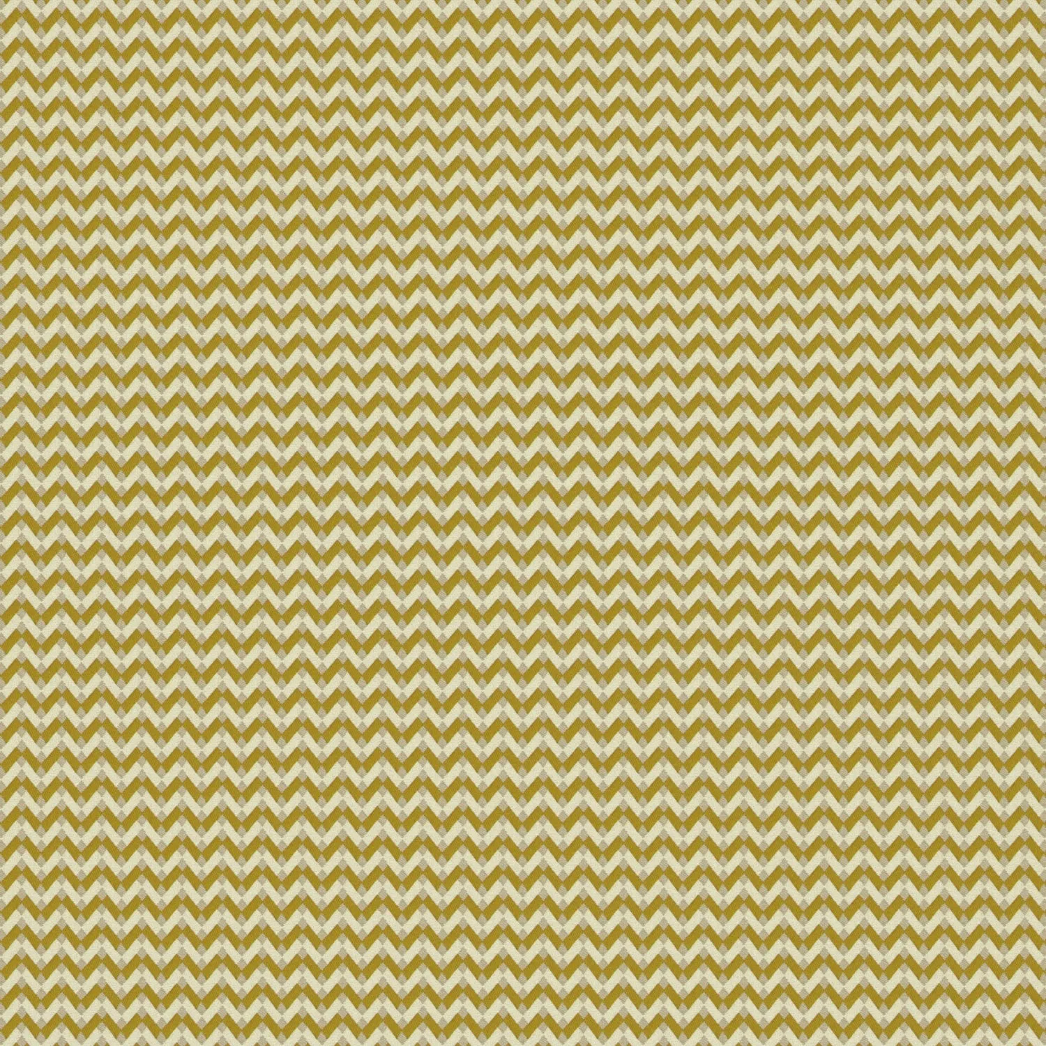 Bolero Yellow