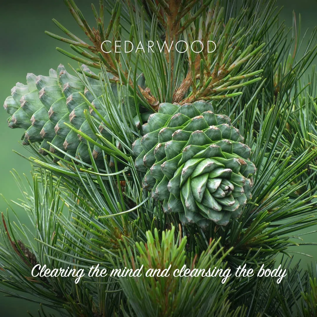 Cedarwood Eco Friendly Soap Bar -95g