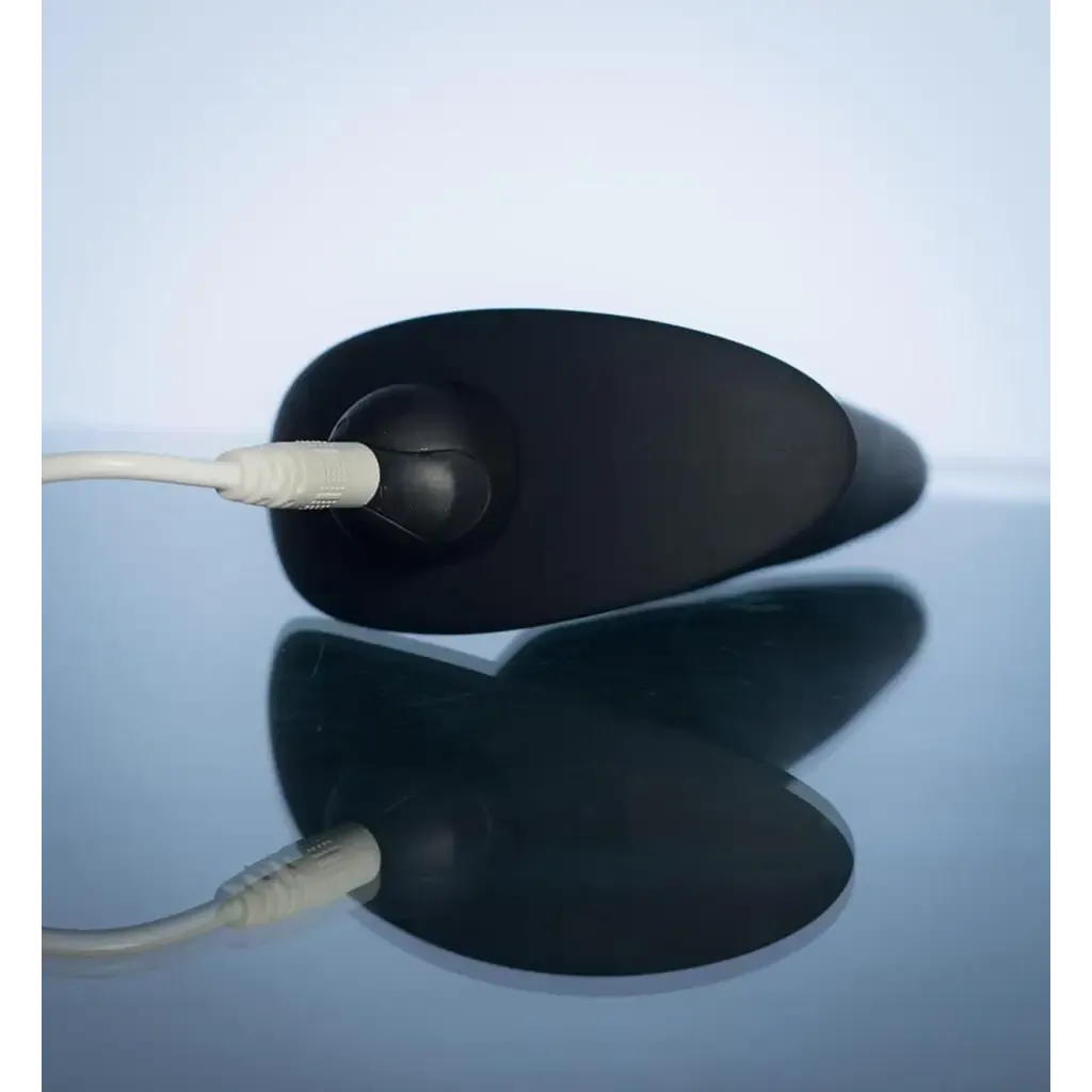 Cody Rechargeable Butt Plug