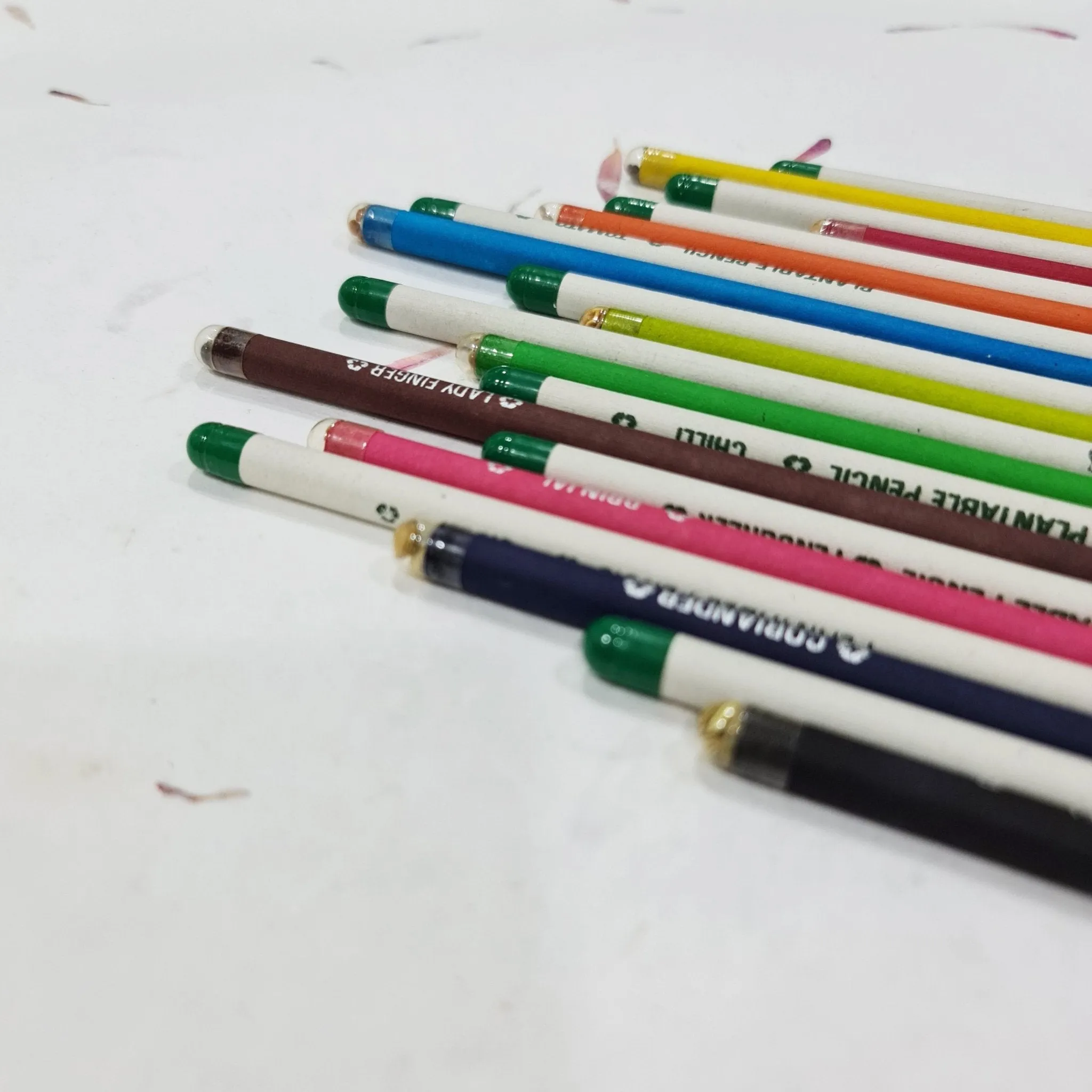 Eco-friendly Plantable Seed Pen & Pencils