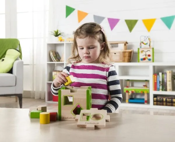 Educational Wooden Shape Sorter Box - EverEarth