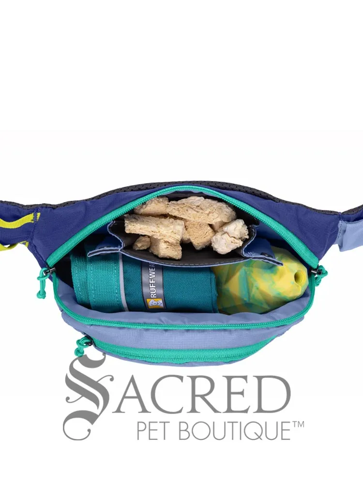 Home Trail Hip Pack