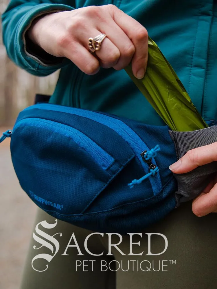 Home Trail Hip Pack