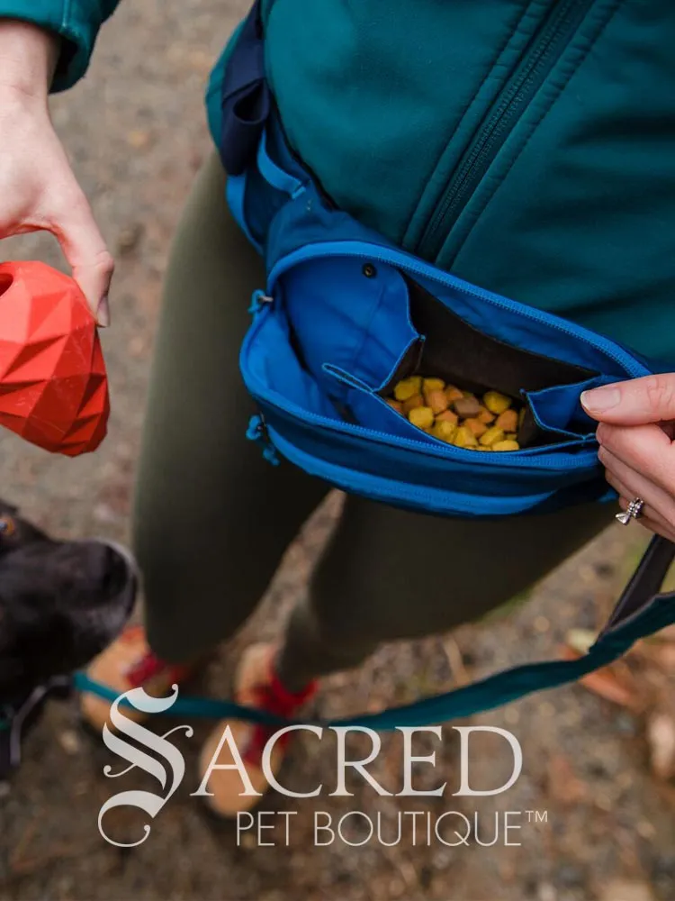 Home Trail Hip Pack