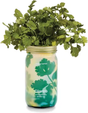 Modern Sprout Garden Jars Organic Herbs Hydroponic Indoor Grow Kit - Cilantro