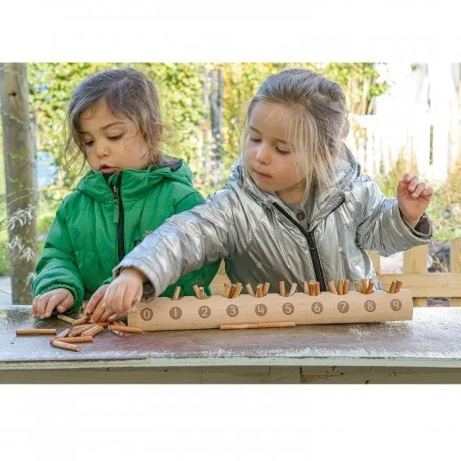 Natural Counting Log