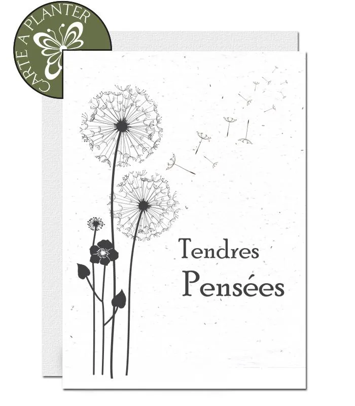 Plantable Condolence Card - Thinking of You