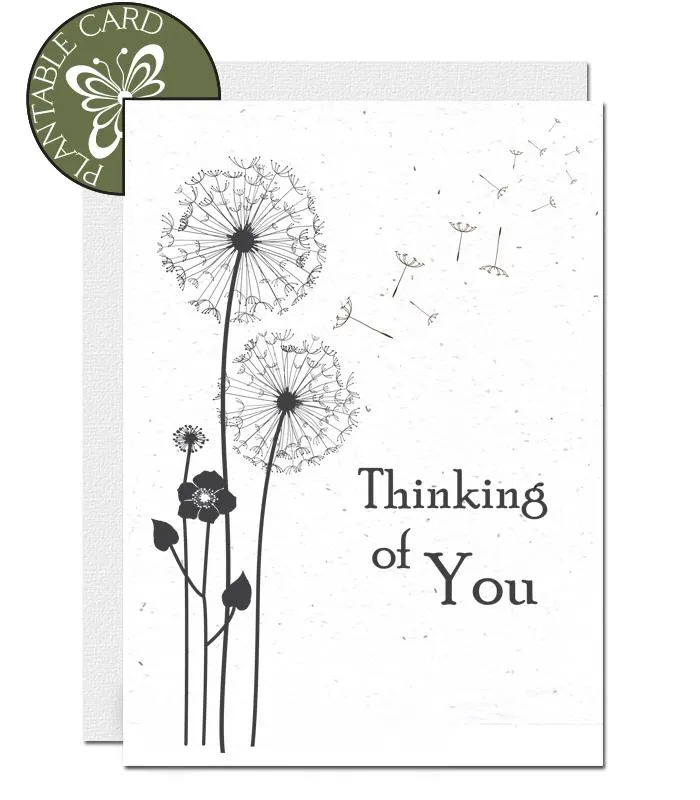 Plantable Condolence Card - Thinking of You