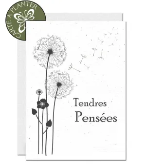 Plantable Condolence Card - Thinking of You