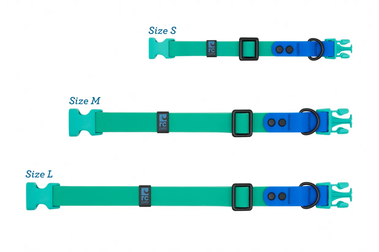 RC Pets Waterproof Collar for Dogs in Parakeet & Sapphire