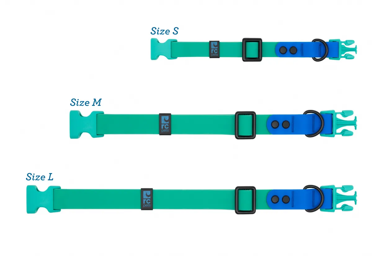 RC Pets Waterproof Collar for Dogs in Parakeet & Sapphire