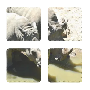 Rhinos Sublimation Coasters Pack of Four