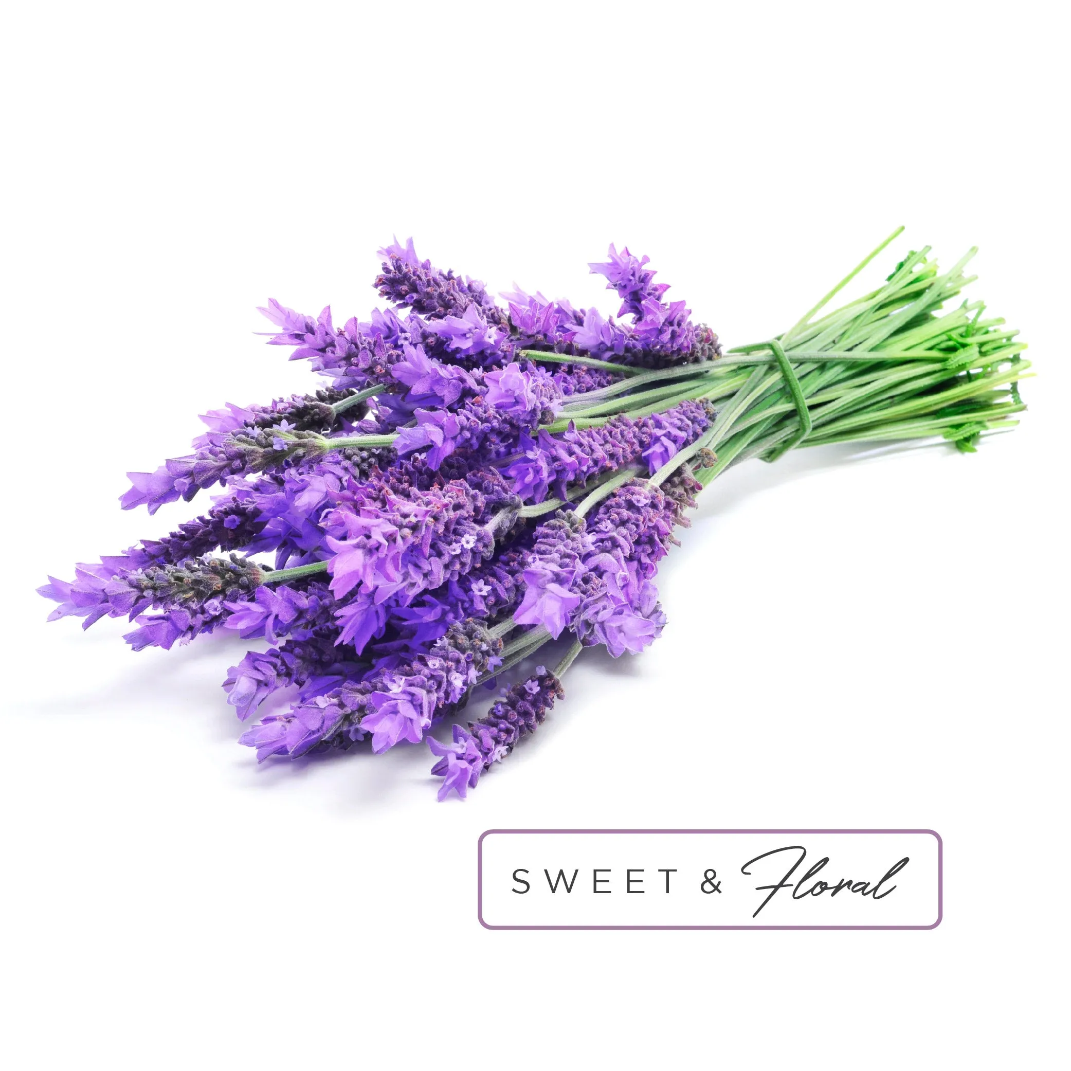 Shower Burst® Tablet in Relax