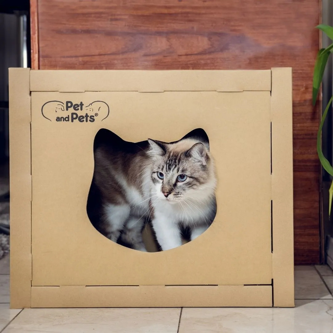 SOLD OUT - The Box Eco Pet House by Pet and Pets