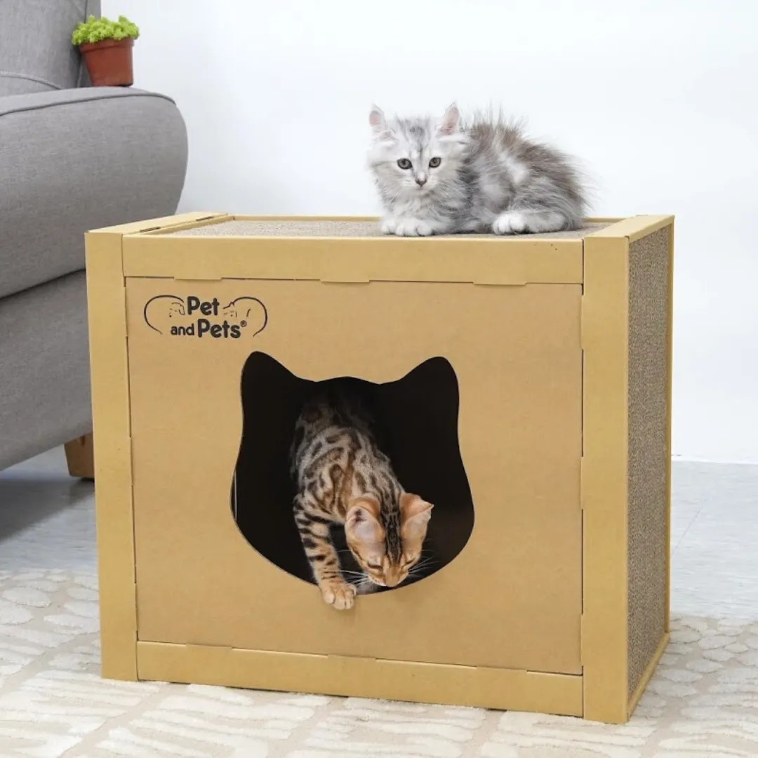 SOLD OUT - The Box Eco Pet House by Pet and Pets