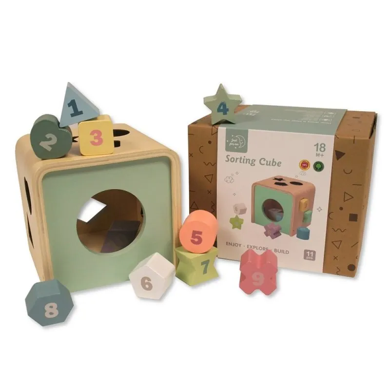 Wooden 11 Piece Shape Sorting Cube