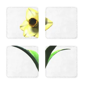 Yellow Flower Sublimation Coasters Pack of Four